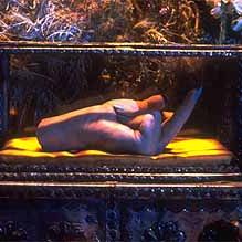 Foto Juntando os Pedaços