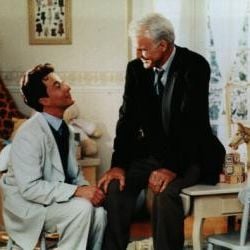 Foto O Pai da Noiva 2