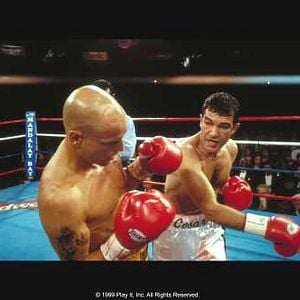 Foto Por Uma Boa Briga