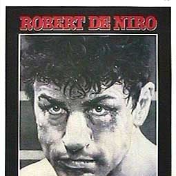 Foto Touro Indomável