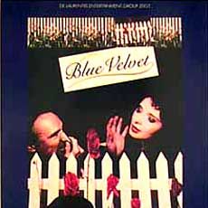 Foto Veludo Azul