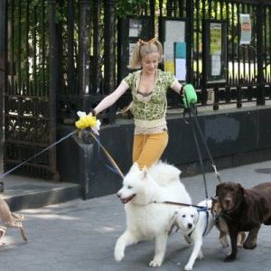 Foto Tudo Pode Dar Certo