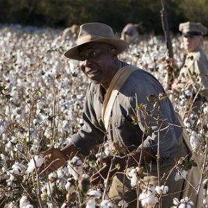 Foto Honeydripper - Do Blues ao Rock