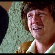 Foto A Traição do Falcão