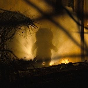 Foto Onde Vivem os Monstros