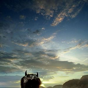 Foto Onde Vivem os Monstros