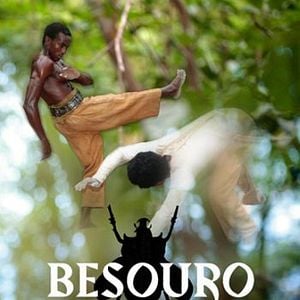 Foto Besouro