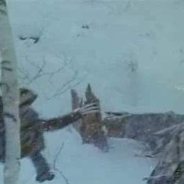 Foto X-Men - O Filme