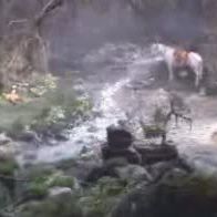 Foto A História Sem Fim