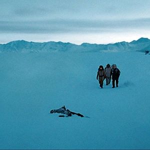 Foto Terror Na Antártida