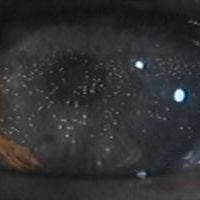 Foto Blade Runner, o Caçador de Andróides