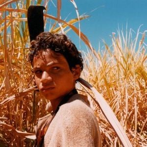 Foto Abril Despedaçado