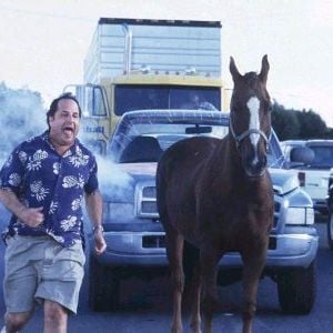 Foto Tá Todo Mundo Louco! - Uma Corrida por Milhõe$