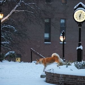 Foto Sempre ao Seu Lado