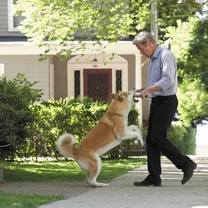 Foto Sempre ao Seu Lado
