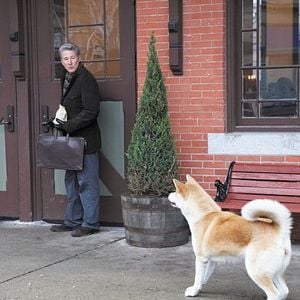Foto Sempre ao Seu Lado