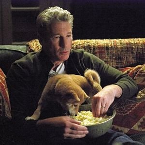 Foto Sempre ao Seu Lado