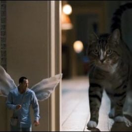 Foto O Fada do Dente