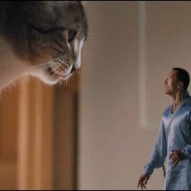 Foto O Fada do Dente