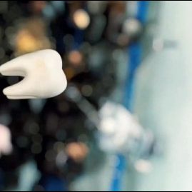 Foto O Fada do Dente