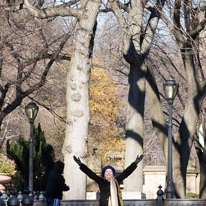 Foto Ironias do Amor