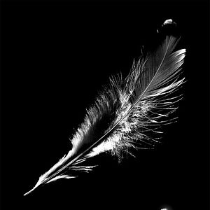 Foto Prisioneiros da Magia