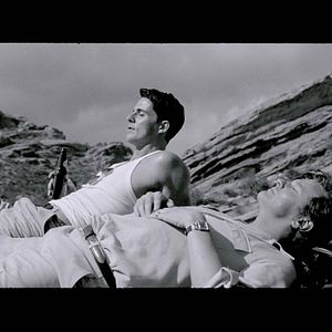 Foto Direito de Amar