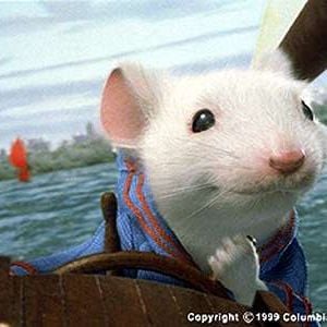 Foto O Pequeno Stuart Little
