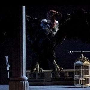 Foto Fúria de Titãs