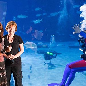 Foto A Última Música