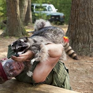 Foto Deu a Louca nos Bichos