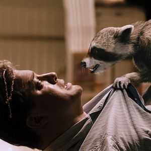 Foto Deu a Louca nos Bichos