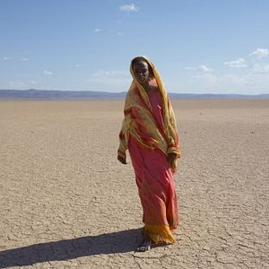 Foto Flor do Deserto