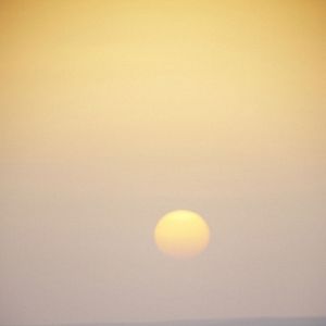 Foto Flor do Deserto