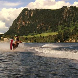 Foto Zé Colmeia - O Filme