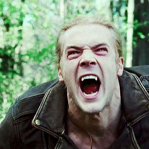 Foto Os Vampiros que se Mordam