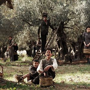 Foto Baaria - A Porta do Vento