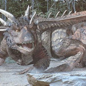 Foto Coração de Dragão