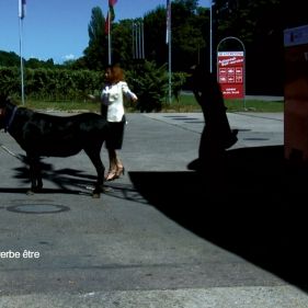 Foto Film Socialisme