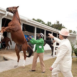 Foto Secretariat - Uma História Impossível
