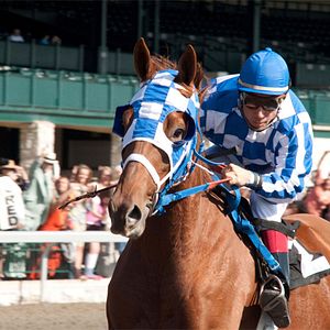 Foto Secretariat - Uma História Impossível