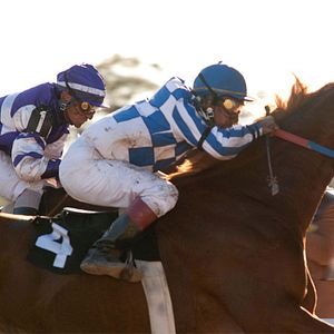 Foto Secretariat - Uma História Impossível