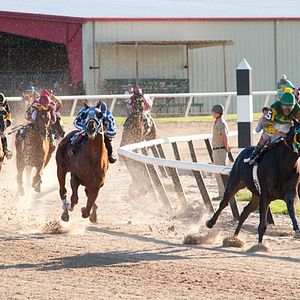 Foto Secretariat - Uma História Impossível