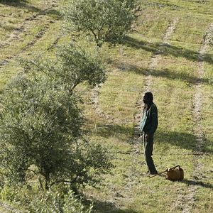 Foto London River - Destinos Cruzados