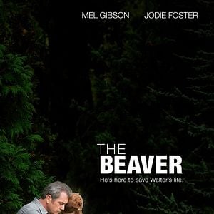 Foto Um Novo Despertar