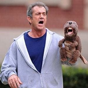 Foto Um Novo Despertar