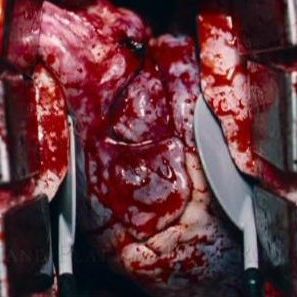 Foto Instinto de Vingança