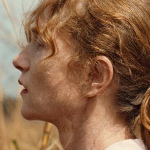 Foto Minha Terra, África