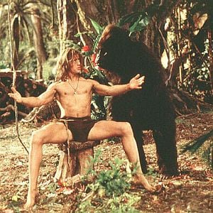 Foto George, o Rei da Floresta