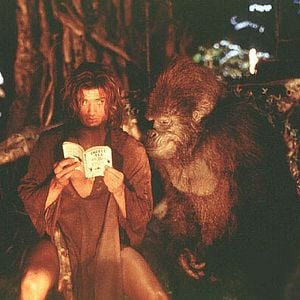 Foto George, o Rei da Floresta